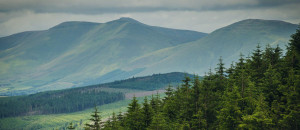 Ballyhoura Mountains, County Limerick