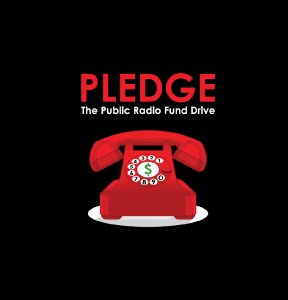 Pledge Survey Image