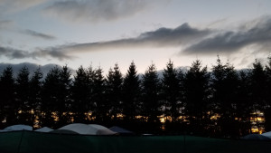 Solstice A wall of trees stands darkly between campfires and a dimly lit sky