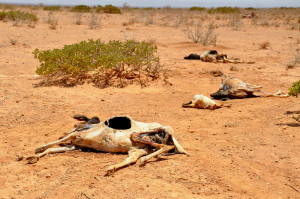 Somalia famine 2011