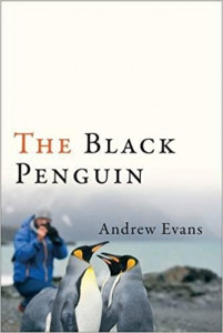 Black Penguin Black Penguin