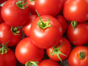 bowl o' tomatoes bowl o' tomatoes