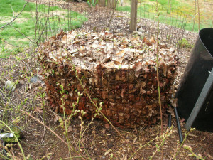 leaf compost bin