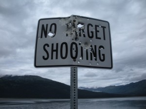 from https://upload.wikimedia.org/wikipedia/commons/7/7f/No_target_shooting.jpg Bullet-hole-riddled sign saying No Target Shooting