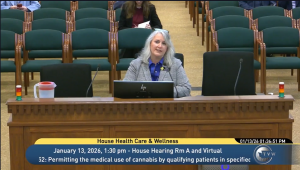 Washington State Representative Shelley Kloba, testifying Jan 13 2026 before the WA House Committee on Health Care and Wellness regarding House Bill 2152.
