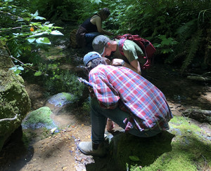 Southern Oregon Rising Tide follows the pipeline route