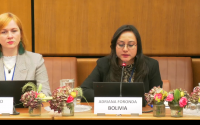 Adriana Foronda, a Bolivian diplomat serving as the Alternate Permanent Representative at Bolivia's Permanent Mission to Austria and to international organizations in Vienna Adriana Foronda, a Bolivian diplomat serving as the Alternate Permanent Representative at Bolivia's Permanent Mission to Austria and to international organizations in Vienna