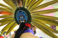 #10: Feathers (Copyright: Natalia Messer)