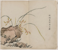 orchid and stone orchid and stone