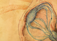 af_sienna_art_studios_numberism_heart_detail.png