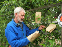 Glen "bagging" apples