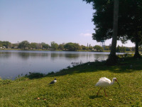 The GPS worked great. I got there 15 minutes early. I took a picture of some birds. The GPS worked great. I got there 15 minutes early. I took a picture of some birds.