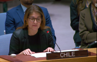 Her Excellency Ambassador Paula Narvaez, Permanent Representative of Chile to the United Nations in New York Her Excellency Ambassador Paula Narvaez, Permanent Representative of Chile to the United Nations in New York