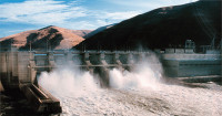 Salmon killing Snake River dam