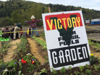 zenith victory garden spring 2019